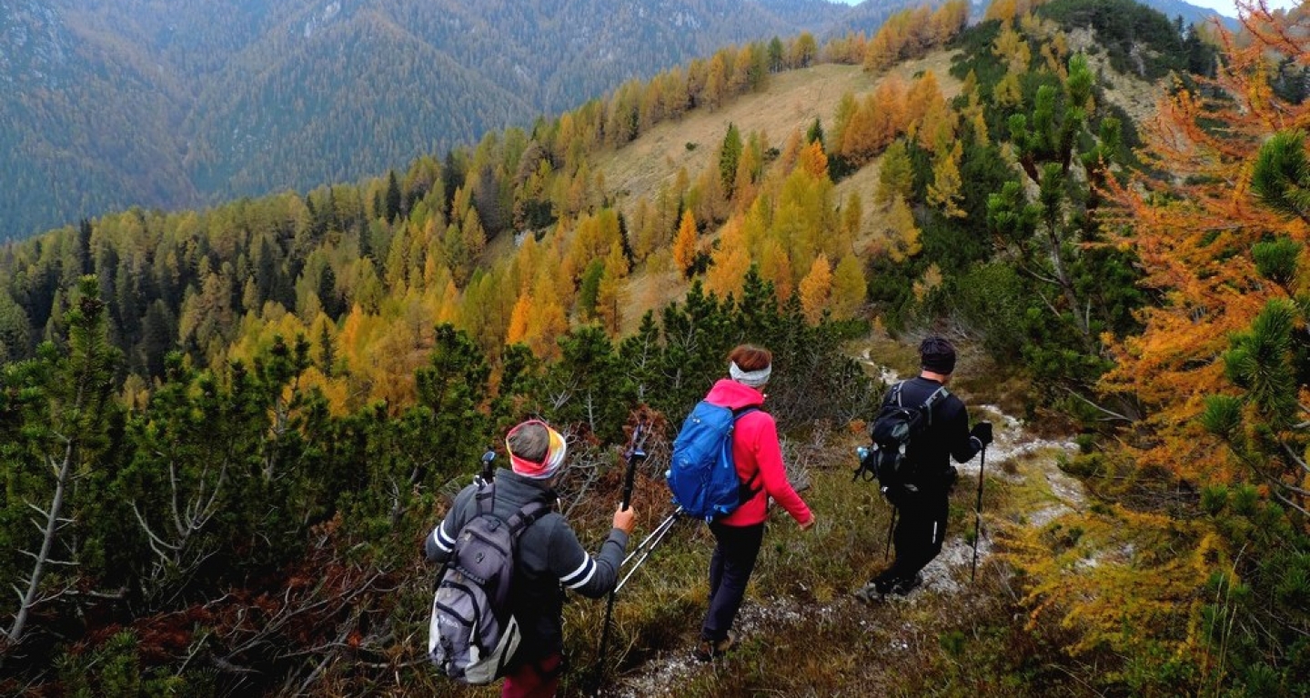 Vabilo k sodelovanju planinskim vodnikom